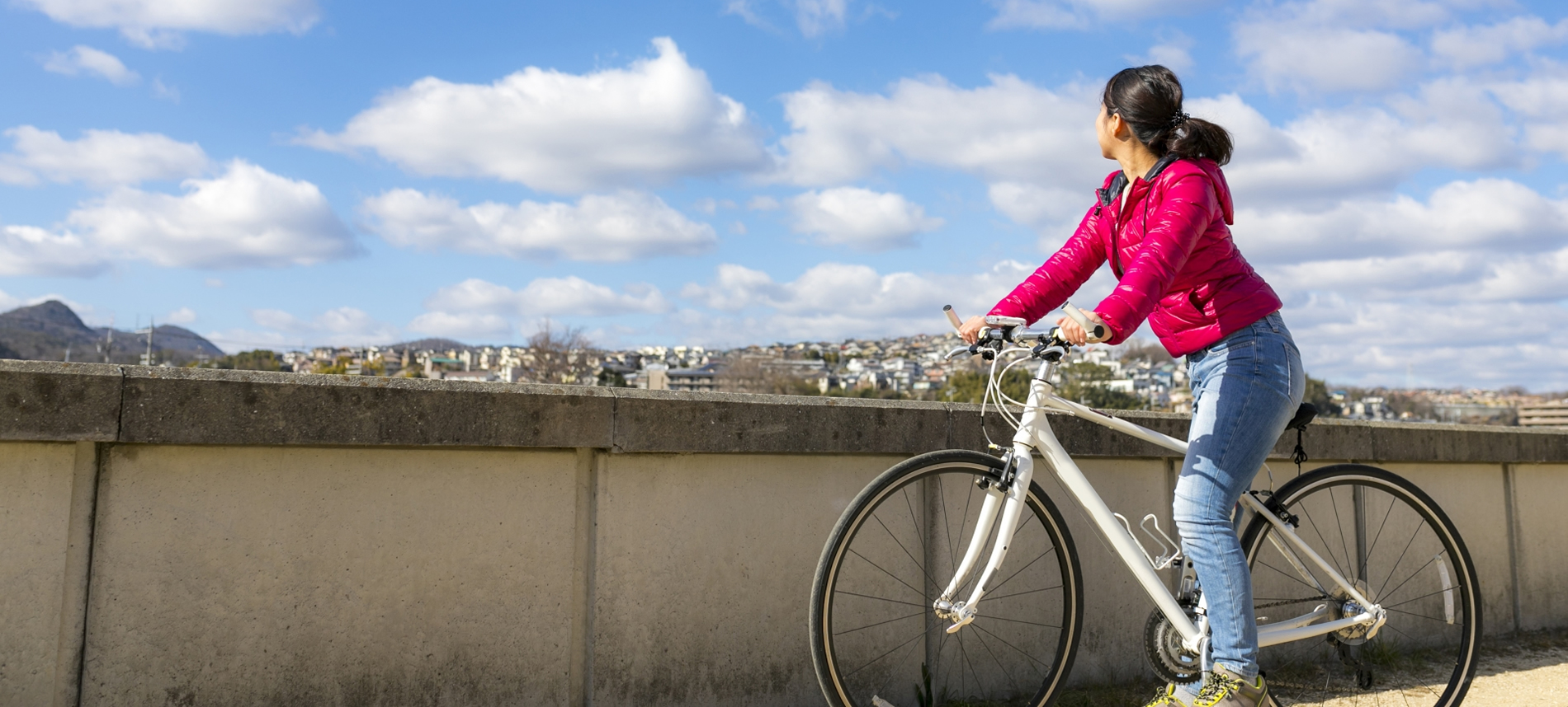 自転車 lentcardenas.com: è‡ªè»¢è»Šç”¨å“: